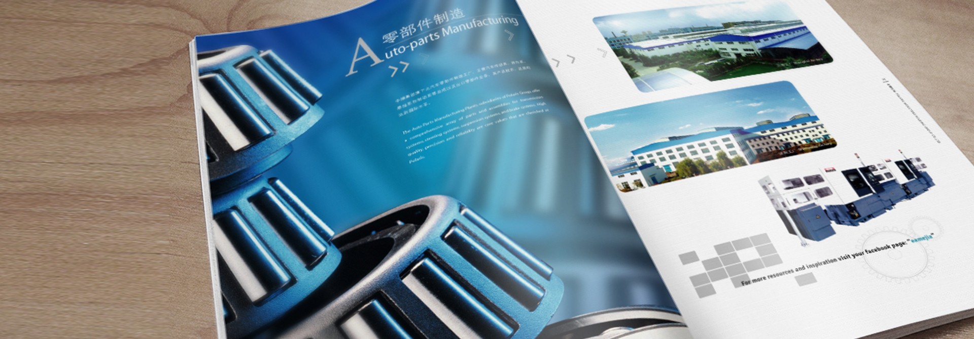 平面設計，畫冊設計，品牌設計，品牌策劃